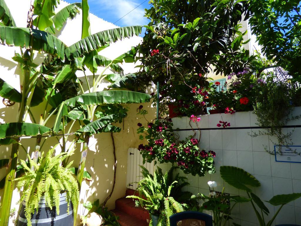 Hostal Campo Nuevo Санлукар-де-Баррамеда Экстерьер фото